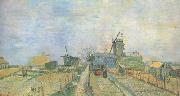 Vincent Van Gogh Vegetable Garden in Montmartre (nn04) china oil painting reproduction